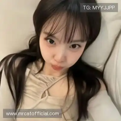 蓬盈晓